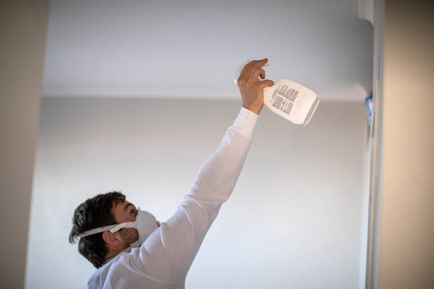 Best Toxic Mold Removal  in Wrightsville, GA