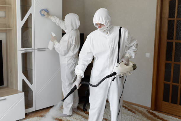 Office Mold Removal Services in Wrightsville, GA