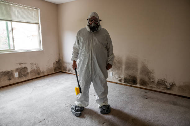 Best Certified Mold Removal  in Wrightsville, GA